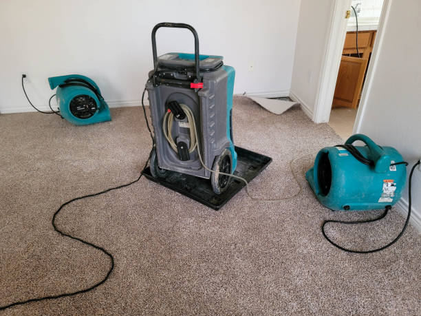 Best Water damage restoration near me  in Wimberley, TX
