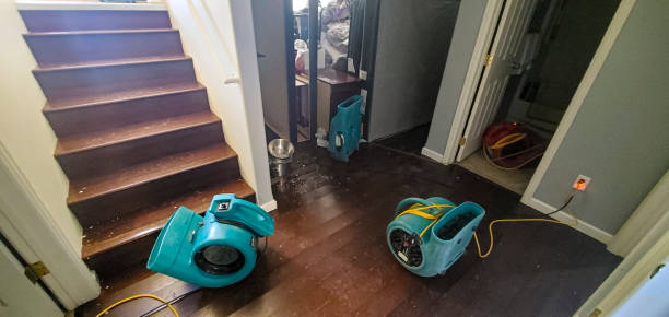Best Water damage restoration insurance claims  in Wimberley, TX