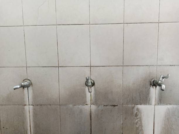 Best Water damage restoration process  in Wimberley, TX