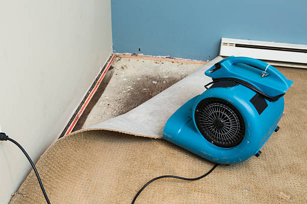 Best Basement water damage restoration  in Wimberley, TX